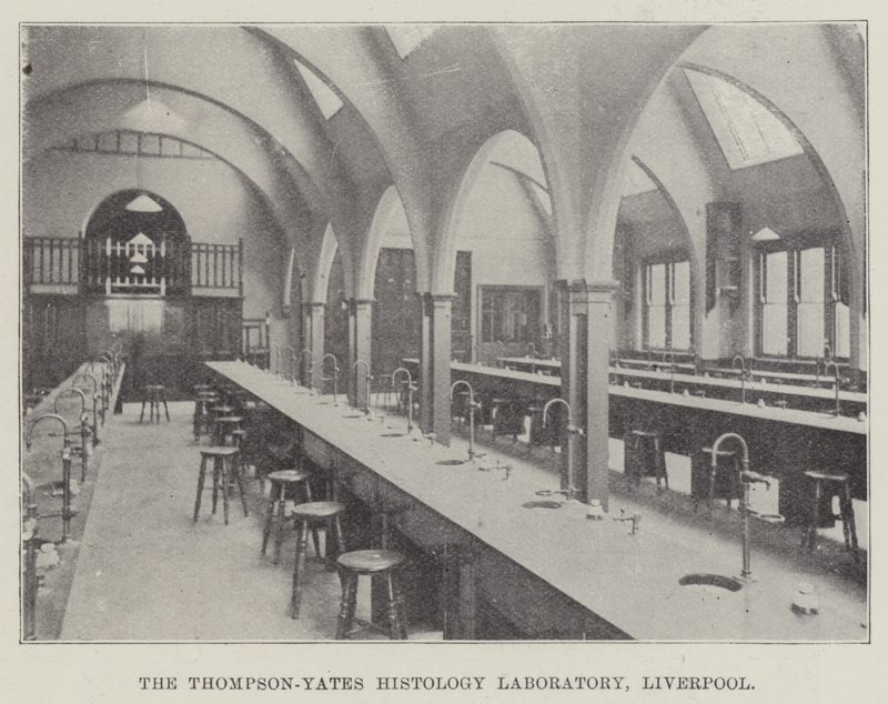 O Laboratório de Histologia Thompson-Yates, Liverpool (gravura) de English School