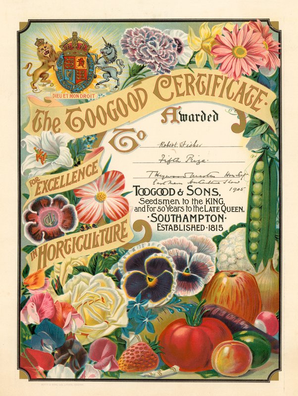 O Certificado Toogood de Excelência em Horticultura de English School