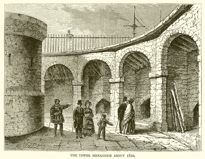 A menegerie torre sobre 1820 de English School