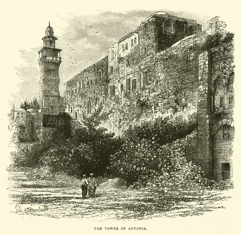 A torre de antonia de English School