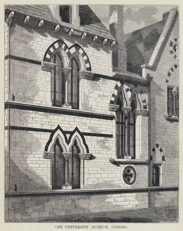 The University Museum, Oxford (gravura) de English School