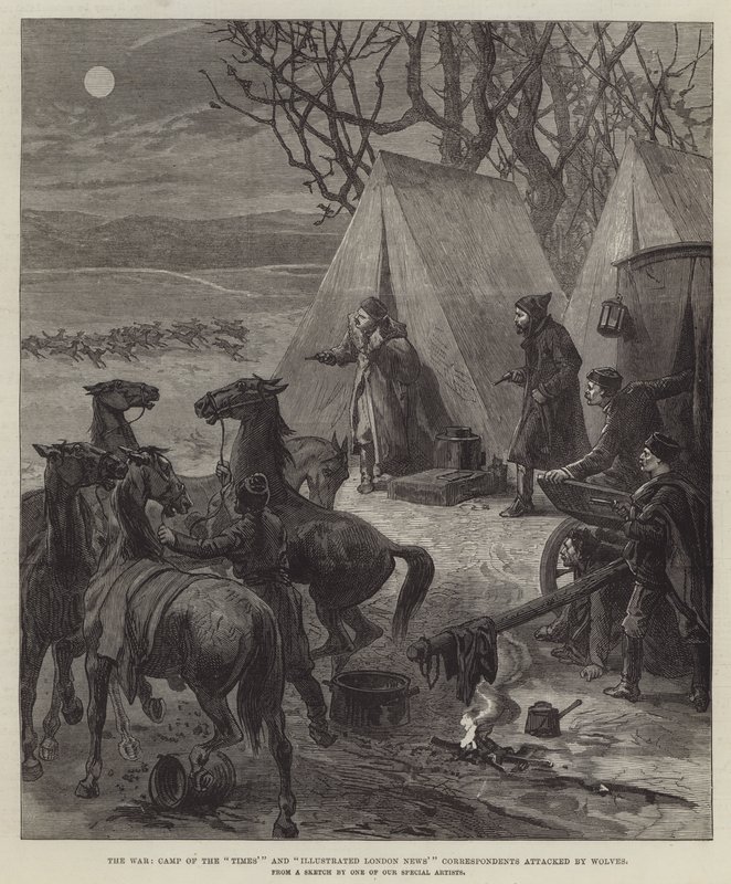 The War, Camp of the "Times" e "Illustrated London News" Correspondents attacked by Wolves (gravura) de English School