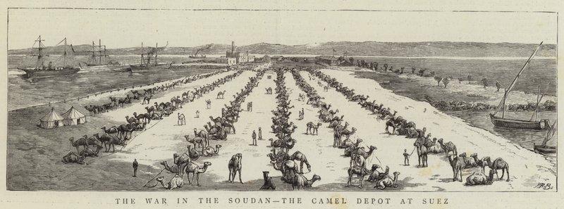 A Guerra no Soudan, o Depósito de Camelos no Suez (gravura) de English School