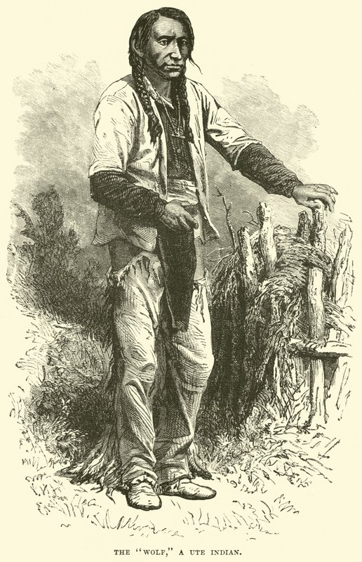 O lobo, um índio ute de English School