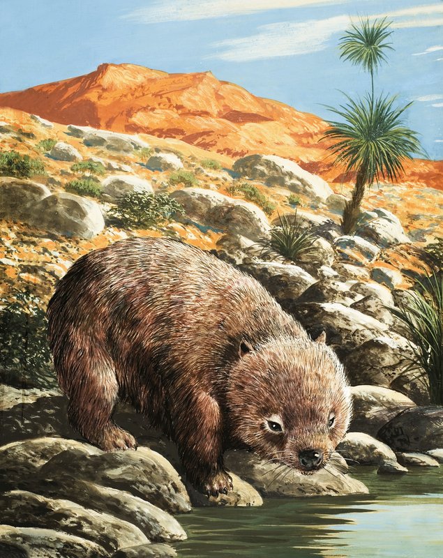 O wombat de English School