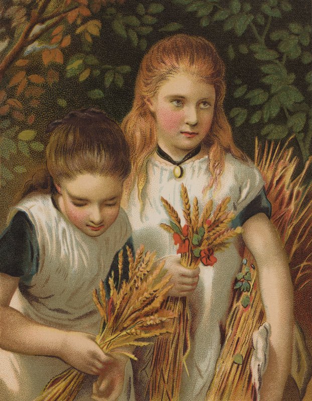 Os jovens respigadores (chromolitho) de English School