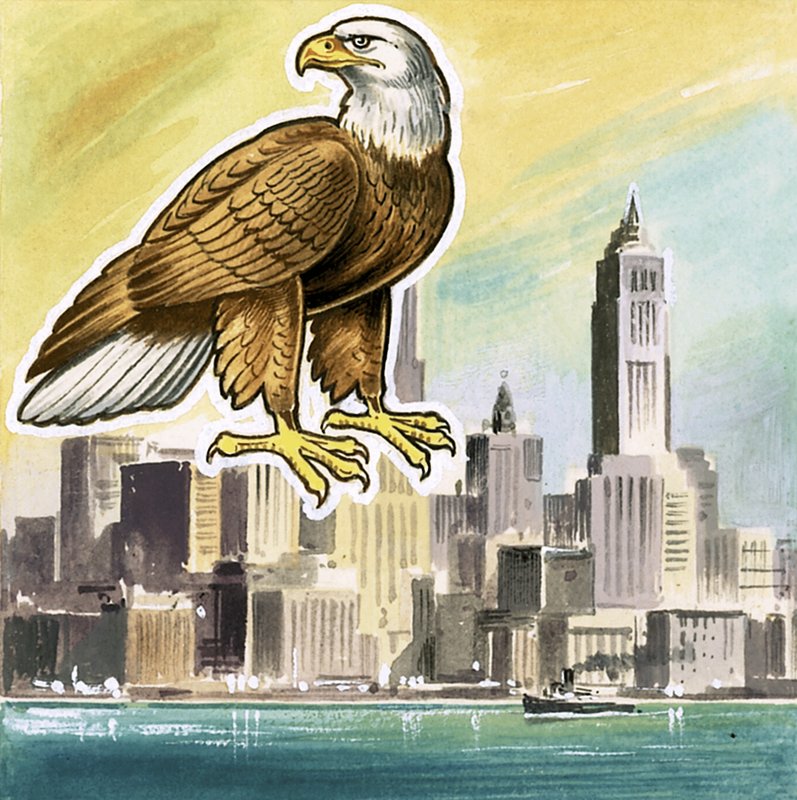 A águia careca, emblema dos Estados Unidos de English School