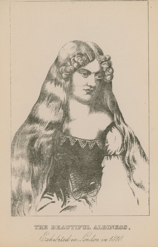 A bela albura, exposta em Londres em 1810 de English School