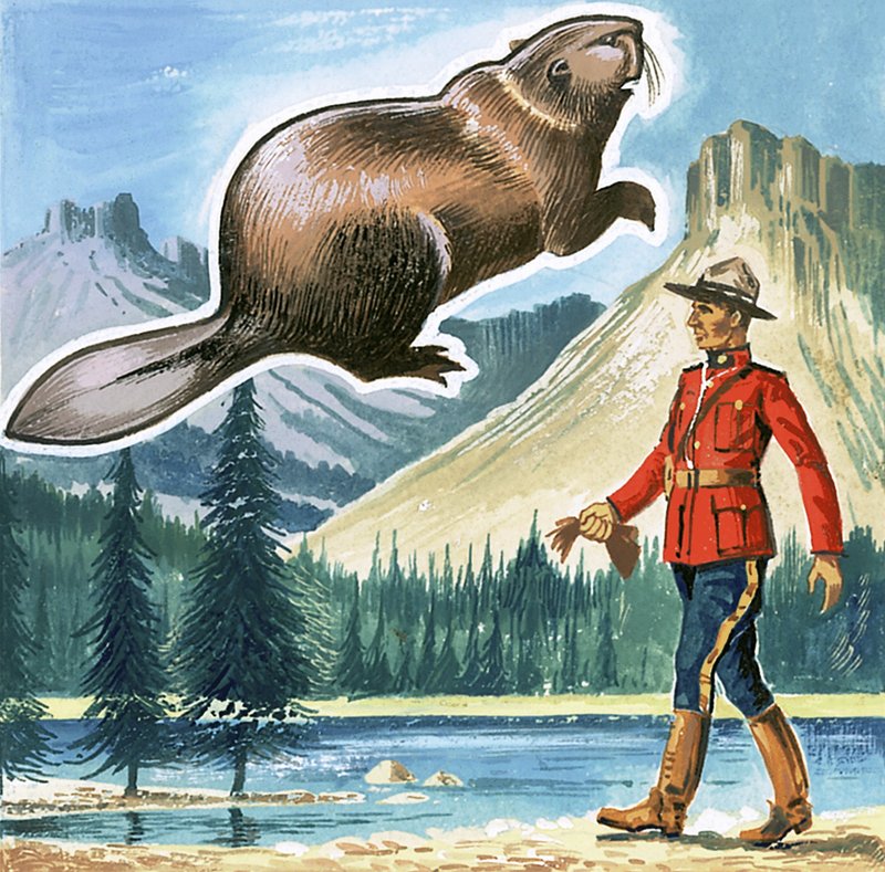 O castor, emblema do Canadá de English School