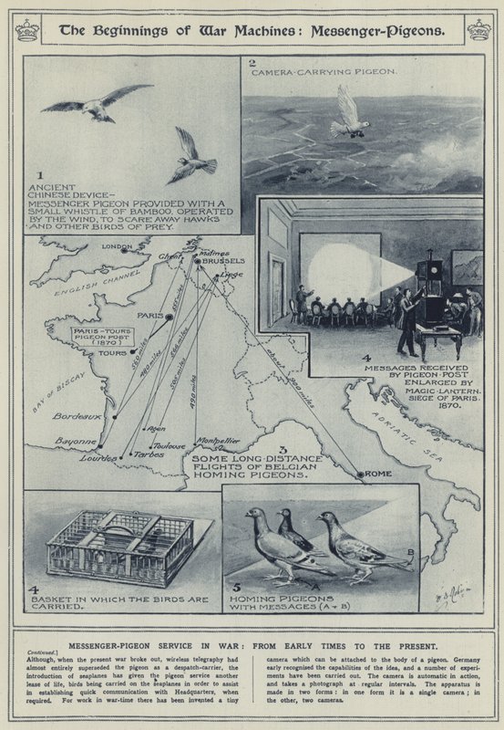 O começo de máquinas de guerra, pombos mensageiros, serviço de mensageiro em guerra, desde os tempos primitivos até o presente de English School