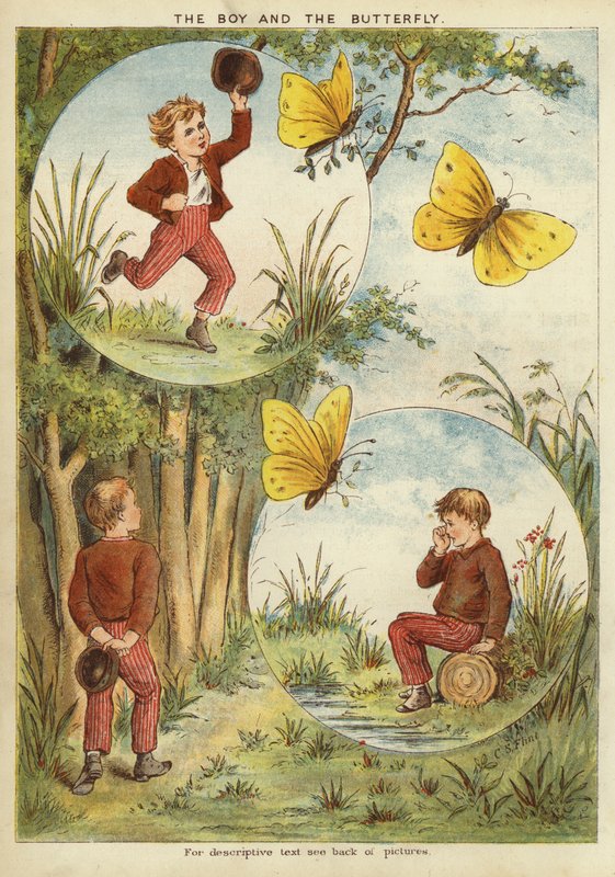 O menino e a borboleta (chromolitho) de English School