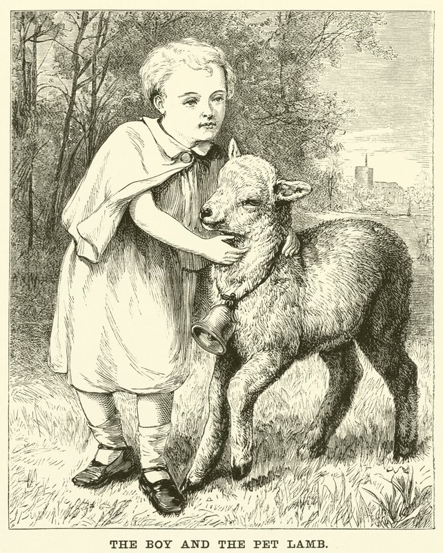 O menino e o cordeiro de estimação (gravura) de English School