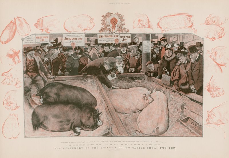 O centenário do Smithfield Club Cattle Show de English School