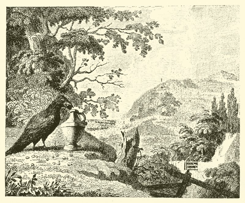 O corvo e o cântaro (gravura) de English School