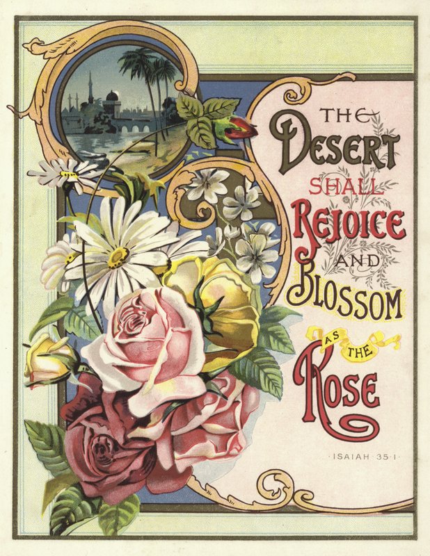O deserto deve se alegrar e florescer como a rosa de English School