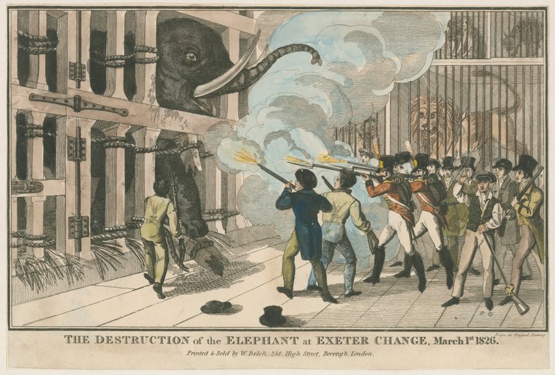 A destruição do elefante em Exeter Change, 1 de março de 1826 de English School