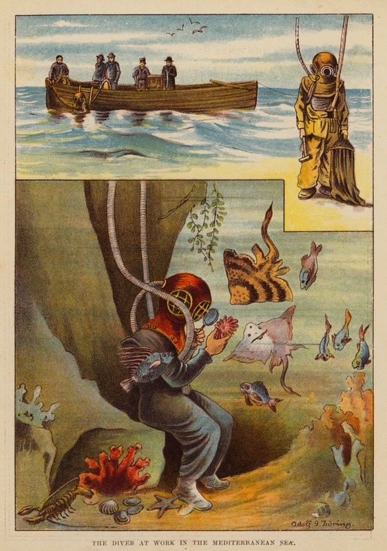 O mergulhador a trabalhar no Mar Mediterrâneo (litografia a cores) de English School