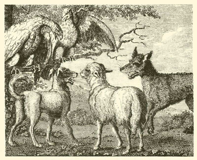 O cão e a ovelha (gravura) de English School