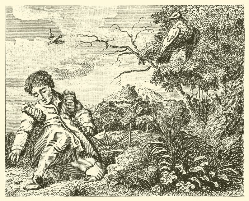 A pomba e a formiga (gravura) de English School