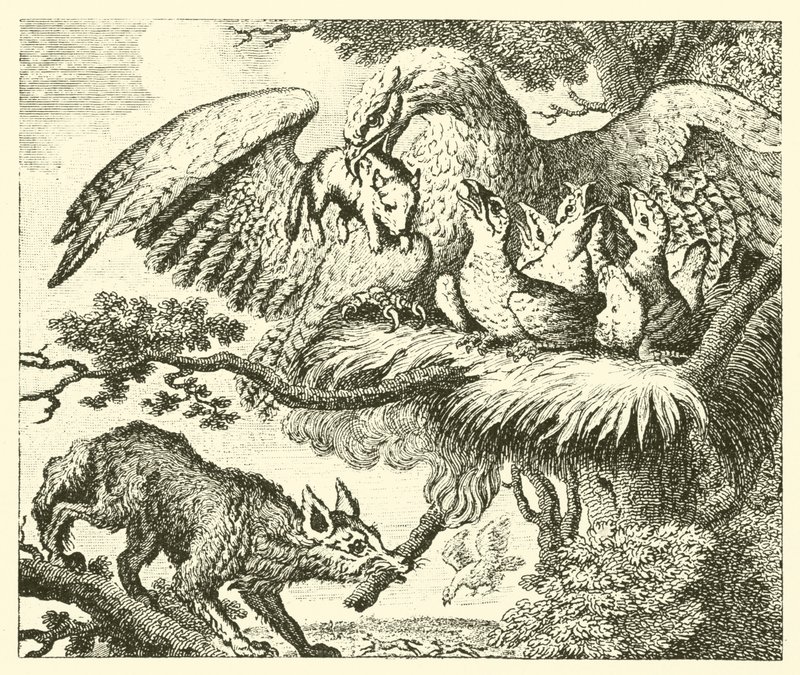 A águia e a raposa (gravura) de English School