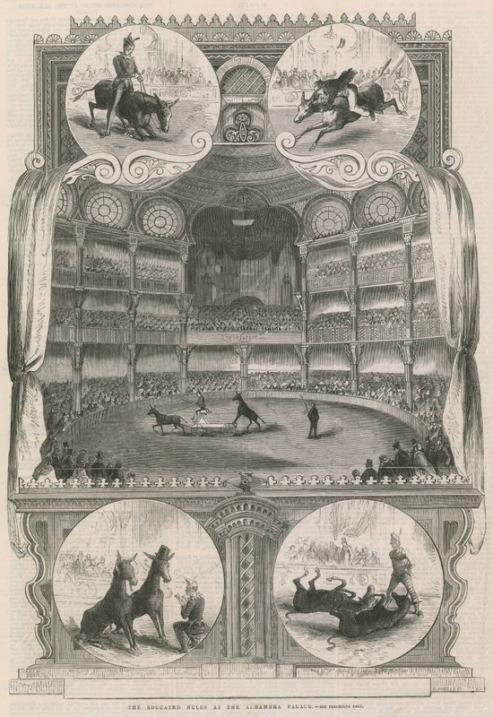 As mulas educadas no Palácio de Alhambra, em Londres de English School
