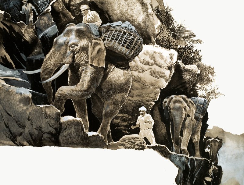 O passeio de elefante de Elephant Bill de English School