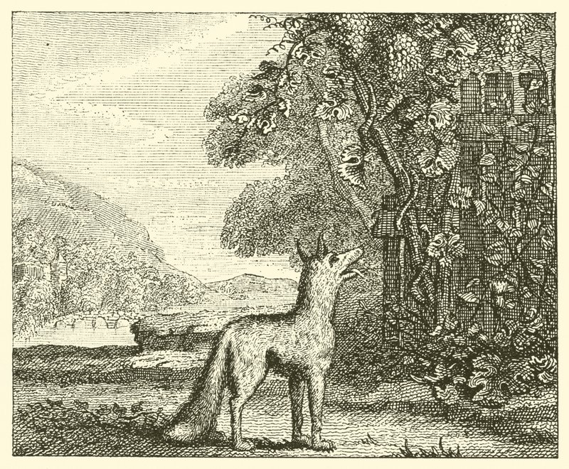 A raposa e as uvas (gravura) de English School