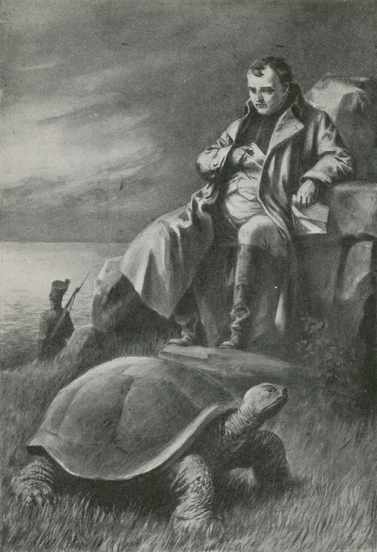 A tartaruga gigante que viu Napoleão de English School