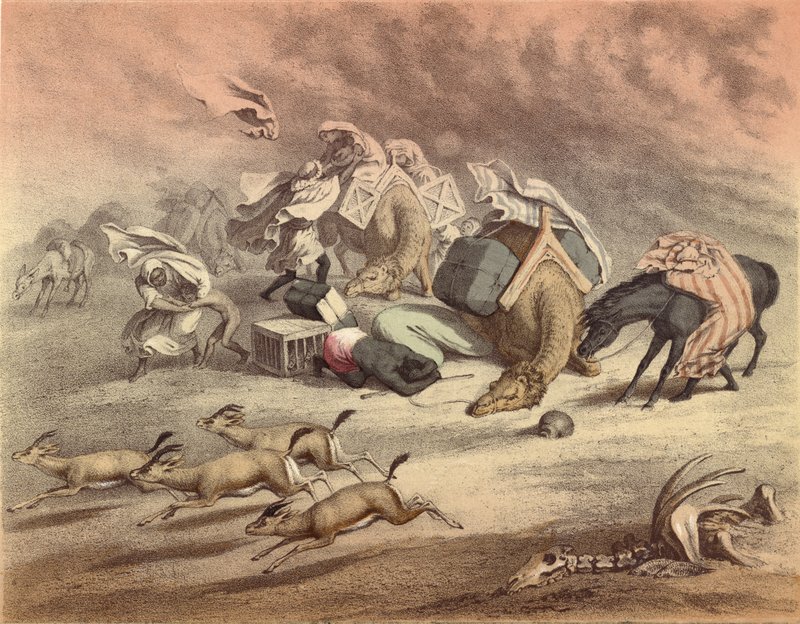 O grande deserto africano, a caravana de camelos, cavalos e jumentos, alcançados pelos Simoom, assustaram as gazelas de English School