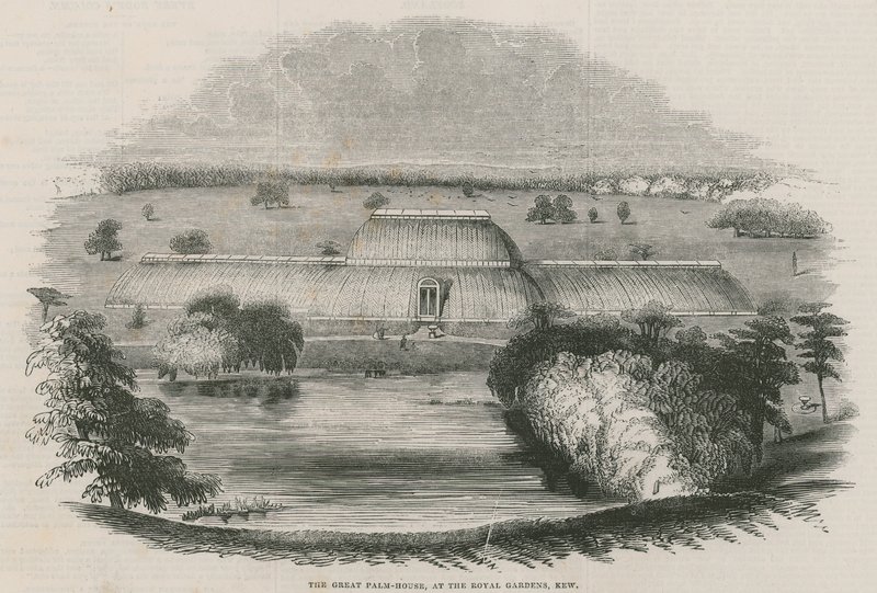 A grande casa de palmeiras no Royal Gardens, Kew, Londres de English School