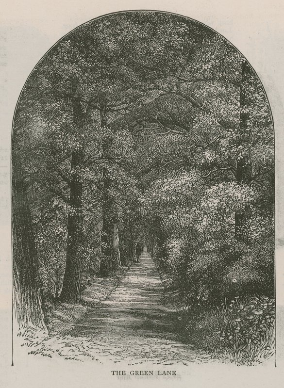 A pista verde, Holland House de English School