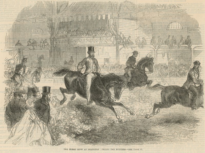 O show de cavalos em Islington de English School