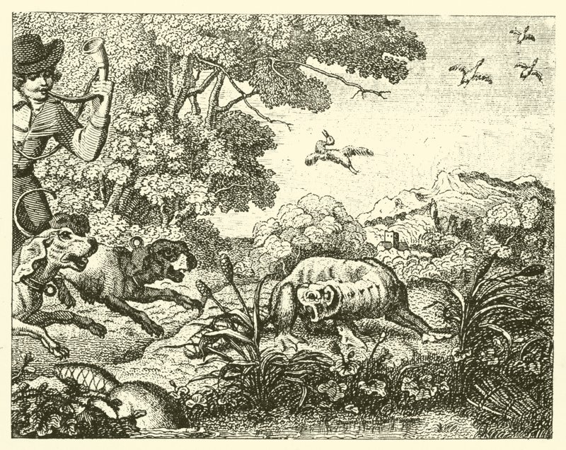 O castor caçado (gravura) de English School