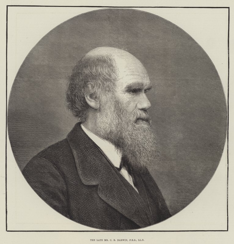 O falecido Sr. CR Darwin, FRS, LLD de English School