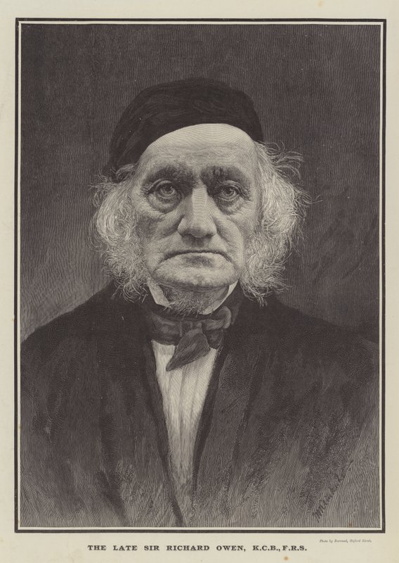 O falecido Sir Richard Owen, KCB, FRS (gravura) de English School