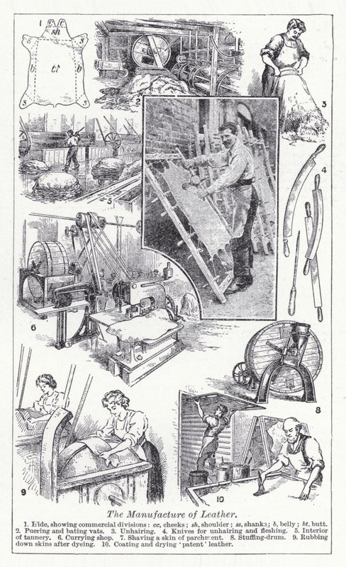 O fabrico de couro (litho) de English School