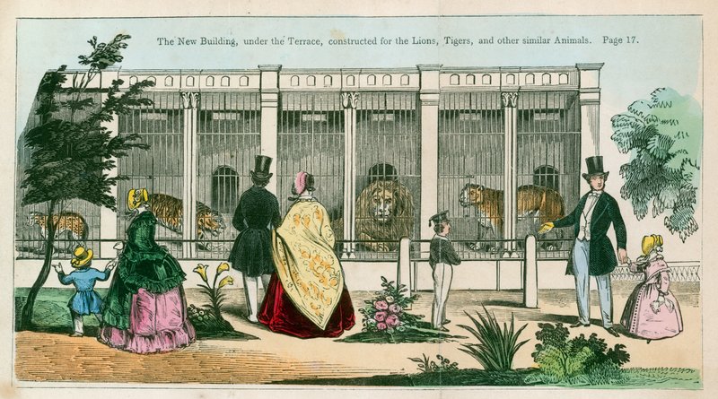 O novo edifício, sob o terraço, construído para os leões, tigres e outros animais semelhantes de English School