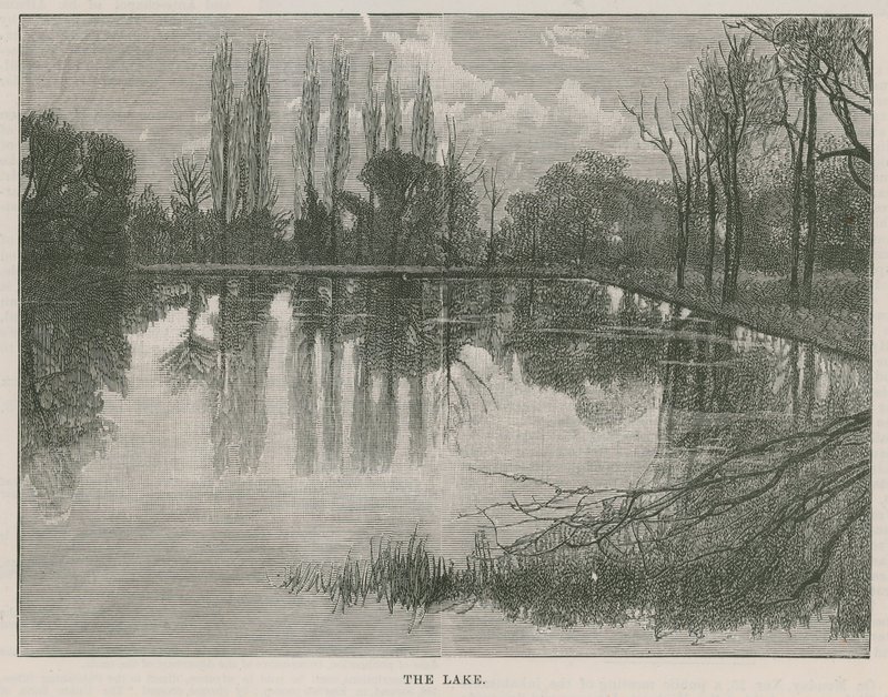 O novo parque público de Highgate: o lago de English School