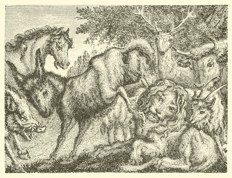 O velho leão (gravura) de English School