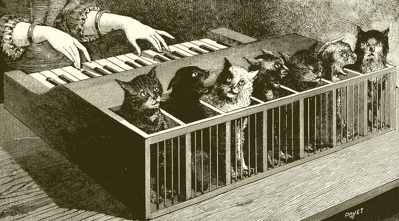 O piano dos gatos de English School