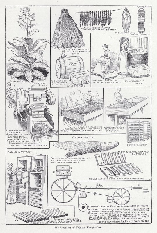 Os processos de fabrico do tabaco (litho) de English School