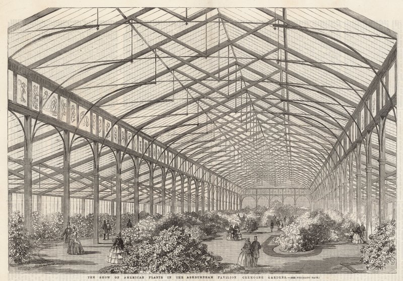 O show de plantas americanas no Ashburham Pavilion, Cremorne Gardens de English School