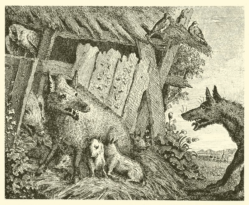 A porca e o lobo (gravura) de English School
