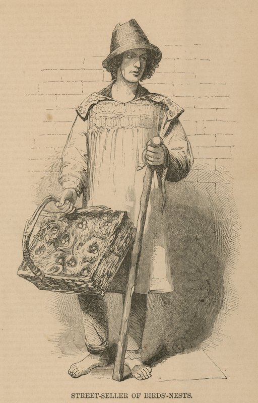 O vendedor de rua de birdsnests de English School