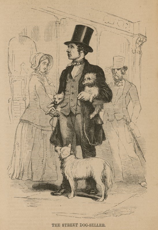 O vendedor de cães de rua de English School