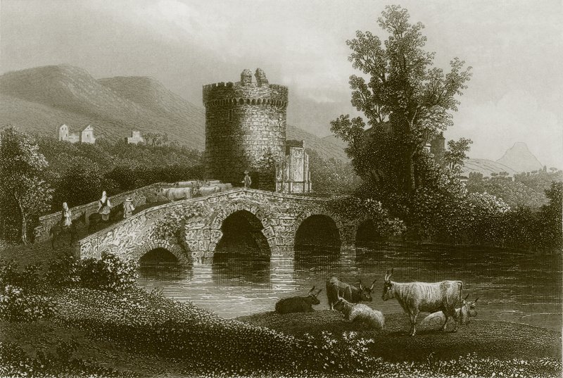 O túmulo de Cícero, Plautius de English School