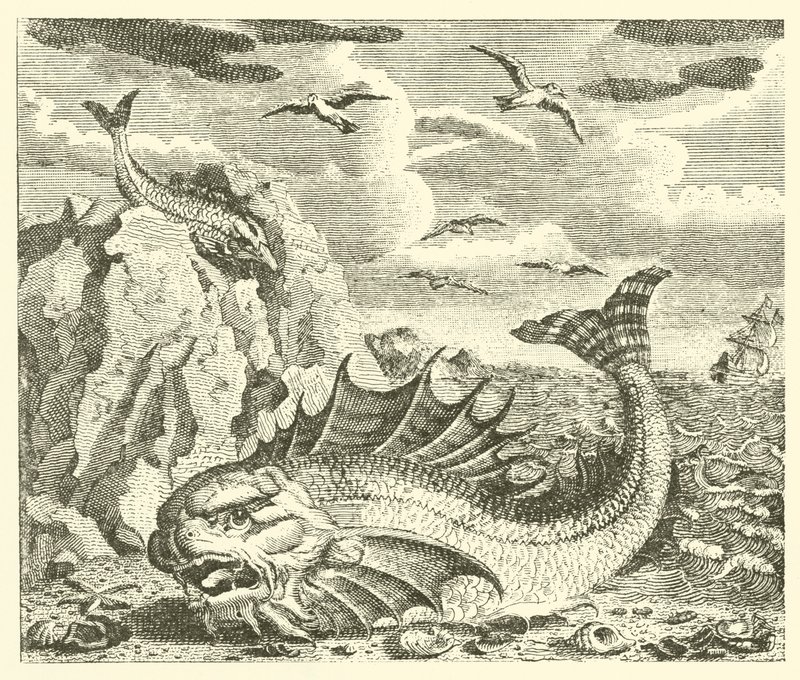 O atum e o golfinho (gravura) de English School