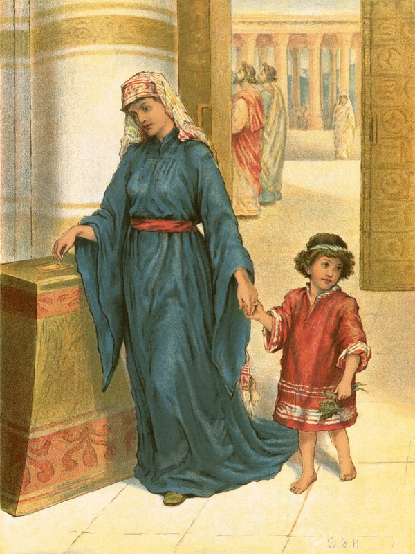 O ácaro da viúva de English School