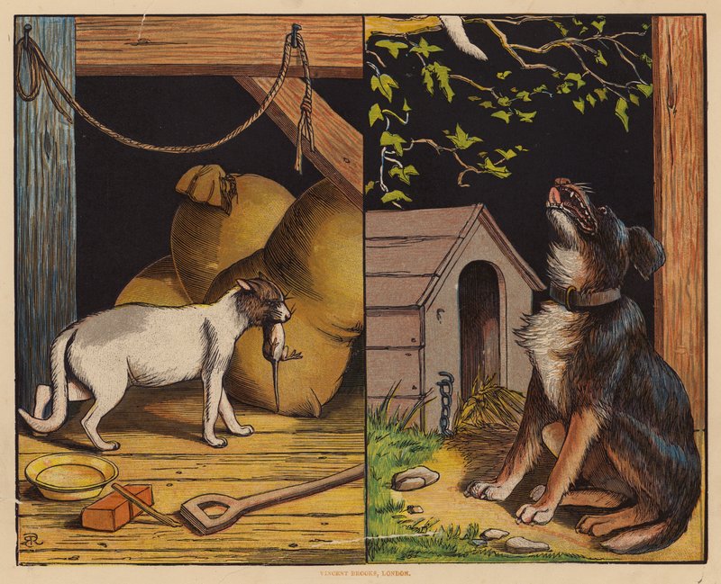 Este é o gato; este é o cão (litografia a cores) de English School
