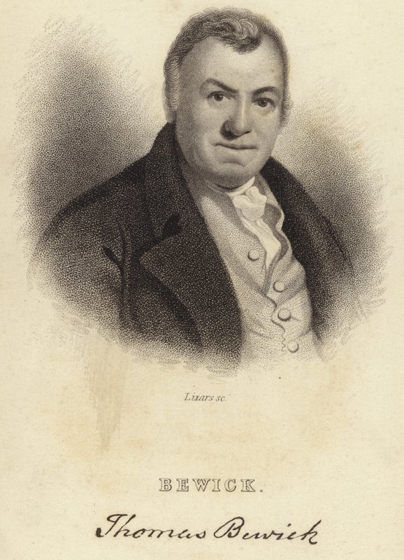 Thomas Bewick de English School